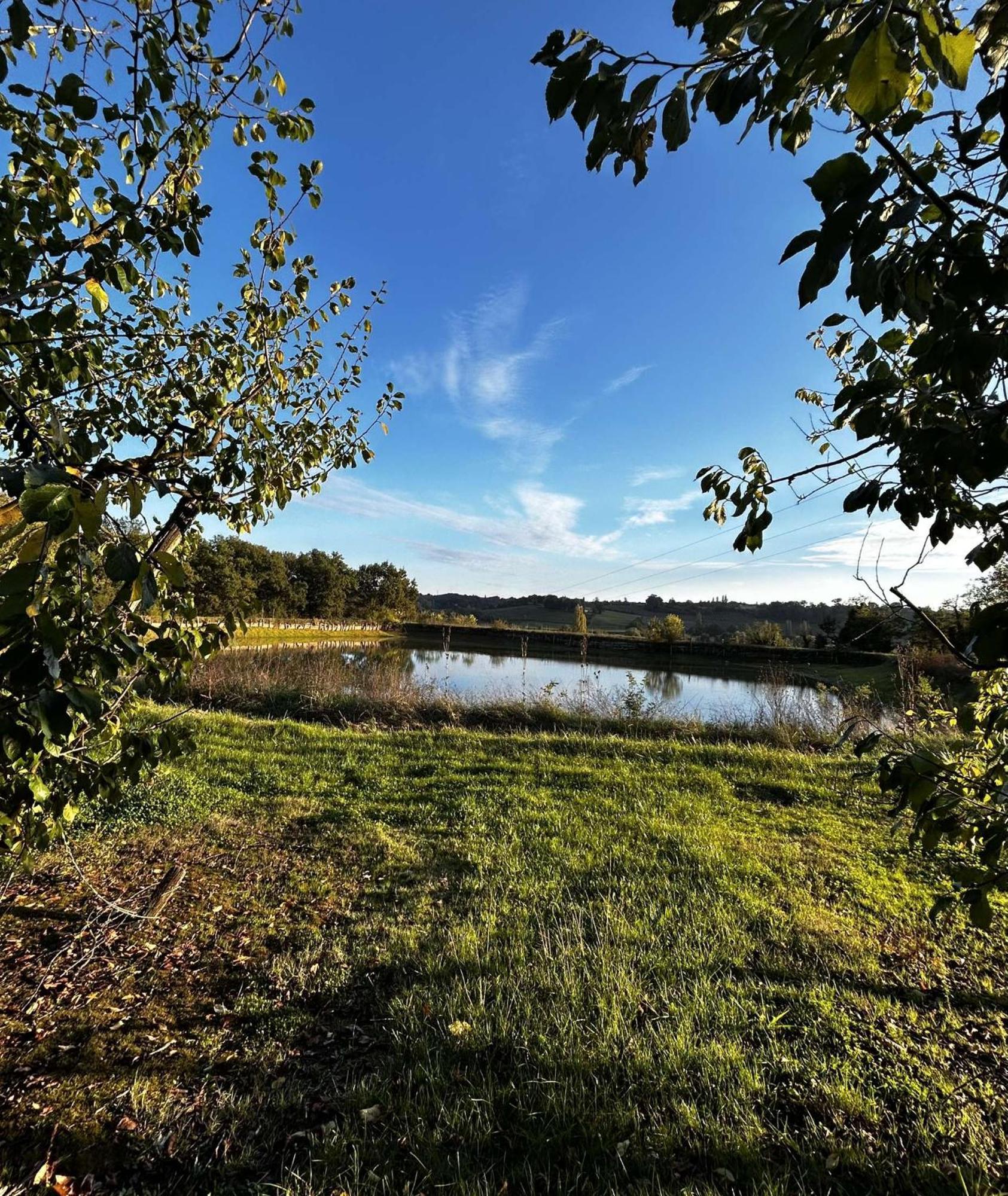 Gite La Garrigue Montbarla Exterior foto